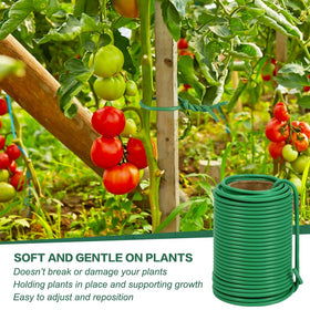 Tenn Well 3.5mm diameter plant wire provides sturdy yet flexible staking.