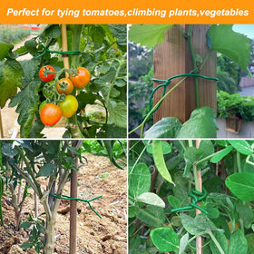 Tenn Well cucumber tie application for garden trellis