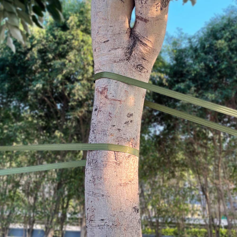 Tenn Well Tree Strap demonstrates secure, knot-stable tying to a stake.