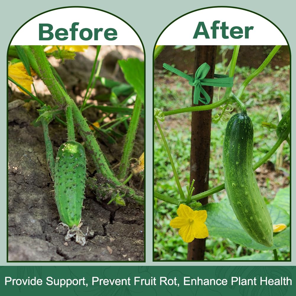 Tenn Well weather-resistant twine keeps vines stable in wind.