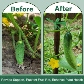 Tenn Well weather-resistant twine keeps vines stable in wind.