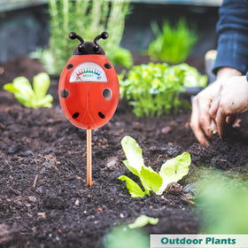 Tennedriv Green battery-free plant meter with clear gauge aids watering decisions.