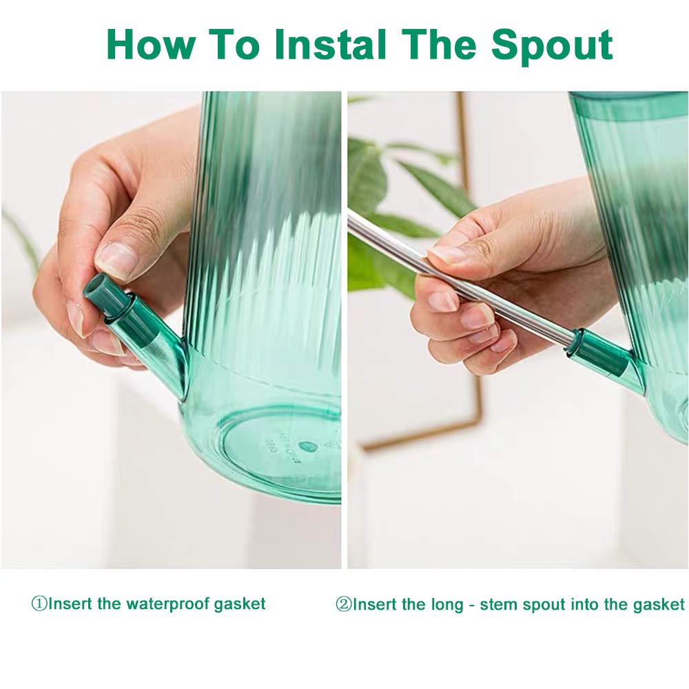 Tennedriv Green can used for bonsai with controlled indoor watering