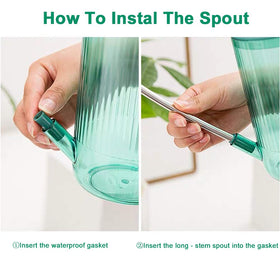 Tennedriv Green can used for bonsai with controlled indoor watering