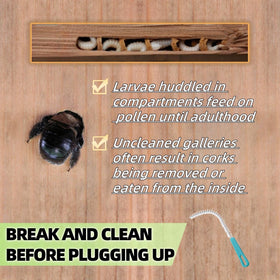 Tensland small wood plug for tight, durable hole filling