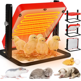 Tepsmigo chicken coop heater top view shows even warmth for chicks