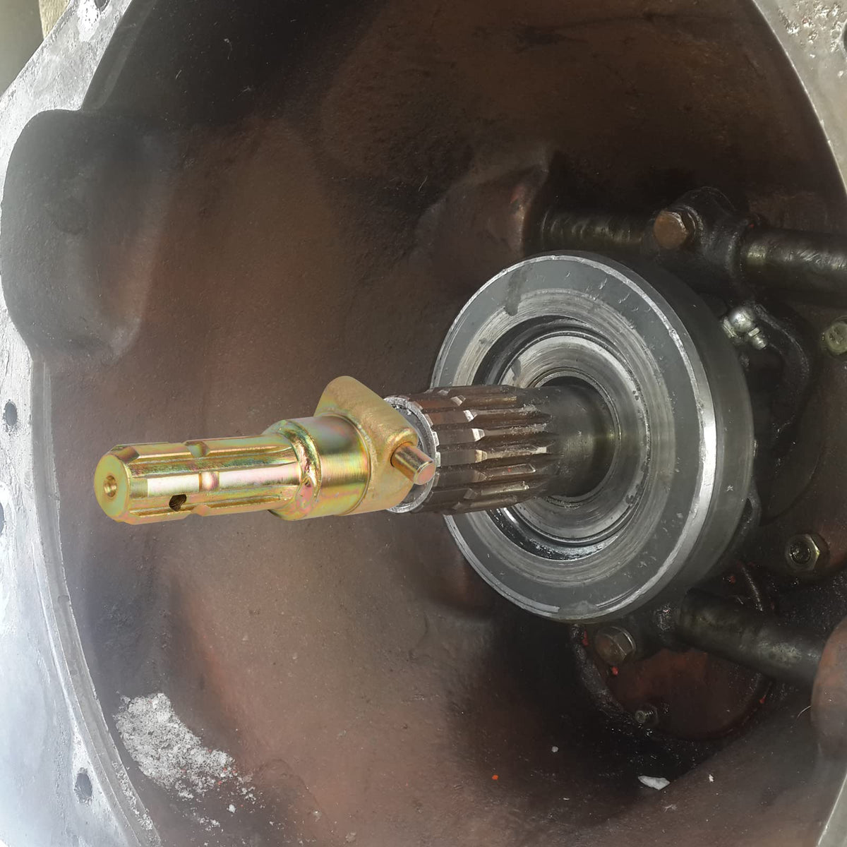 TERGTIRY packaging shows included one shaft extender replacement.