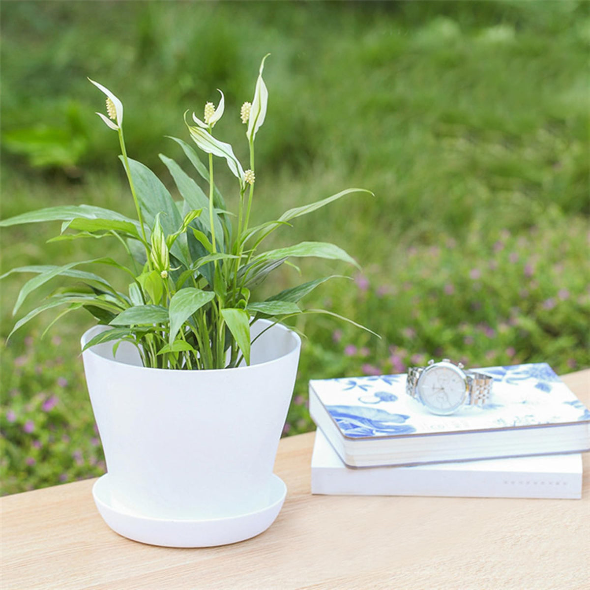 Tergy 4-inch pot with saucer tray helps keep surfaces clean