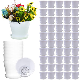 Tergy 4-inch pot top view for compact plant displays