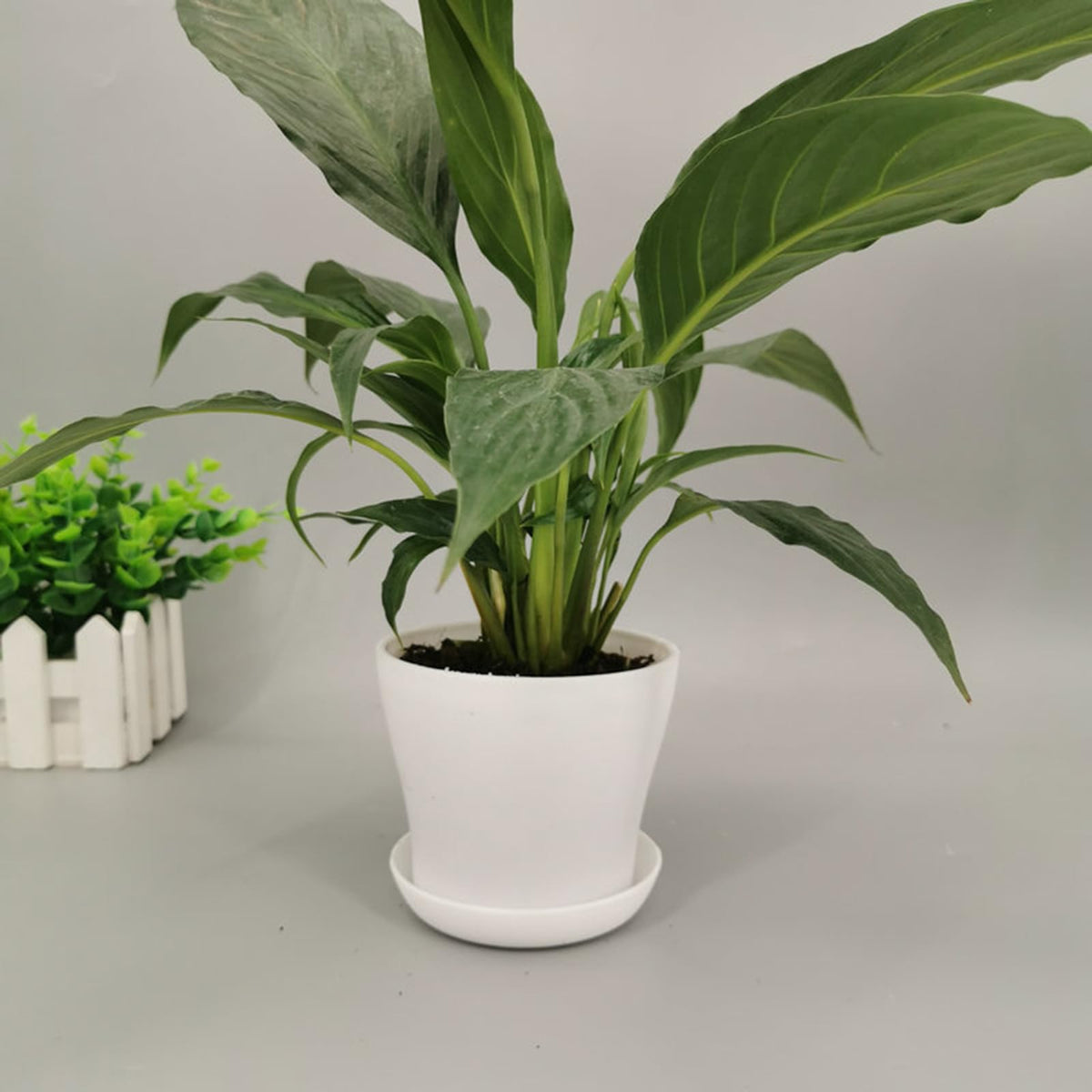 Tergy 4-inch PP material close-up shows durable, colorfast plastic