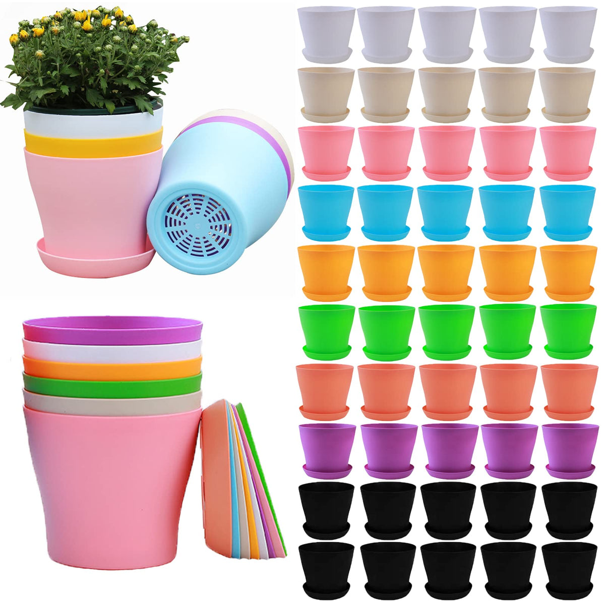 Tergy 4-inch multicolor plant pot with drainage holes for succulents.
