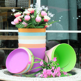 Tergy plant pots for herbs and African violet support healthy growth.