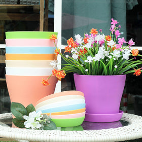 Tergy plant pots for succulents and cacti provide sturdy lightweight housing.