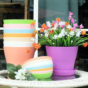 Tergy 4-inch succulent and cactus pot showing compact size and ventilated drainage.