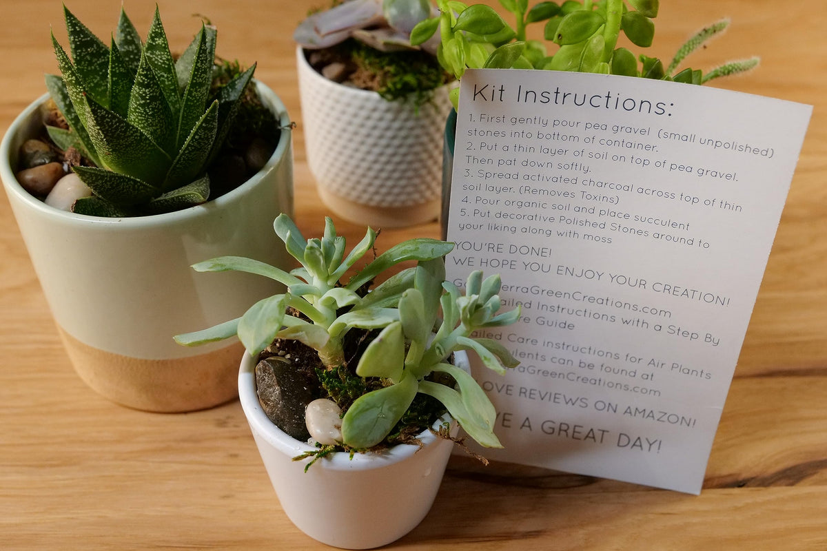 TerraGreen Creations kit assembly diagram aids quick setup.