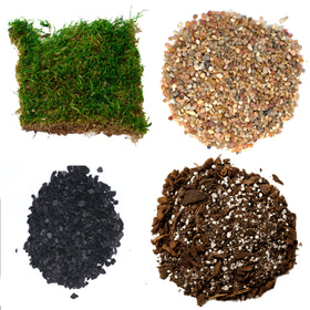 TerraGreen Creations succulent planter kit package shows all-in-one terrarium supplies for beginners.