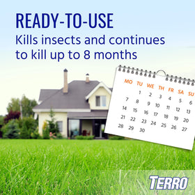 Terro Ant Dust near an ant hill for direct contact kill and fast action