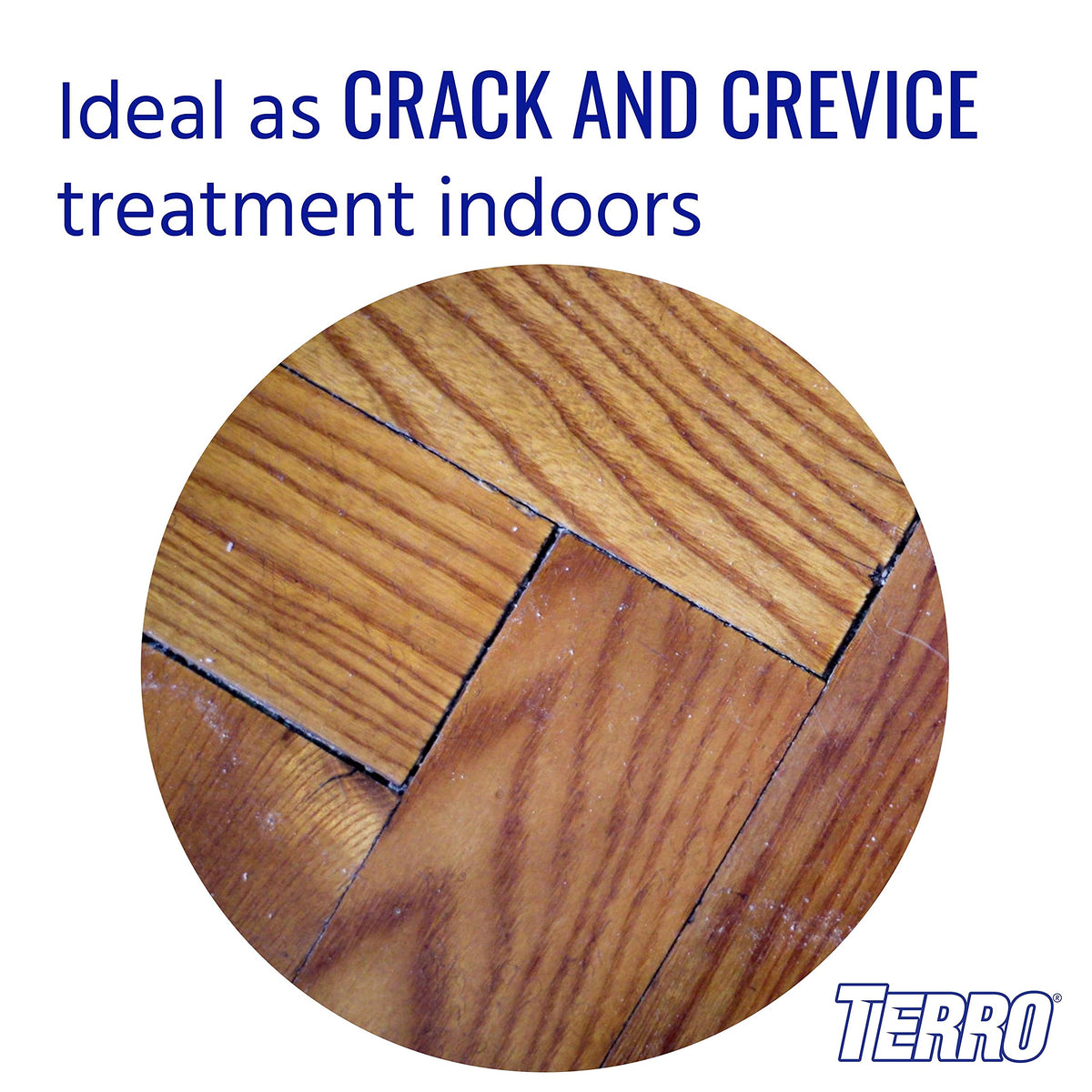 Terro Ant Dust container showcasing waterproof formula suitable for rainproof outdoor protection