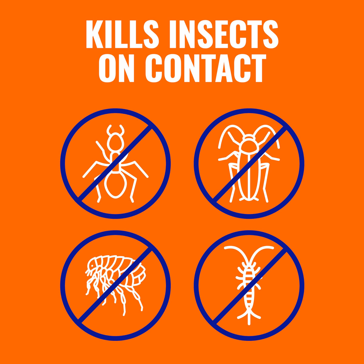 TERRO Ant Killer Plus ant hill application targets nests effectively.