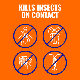 TERRO Ant Killer Plus ant hill application targets nests effectively.