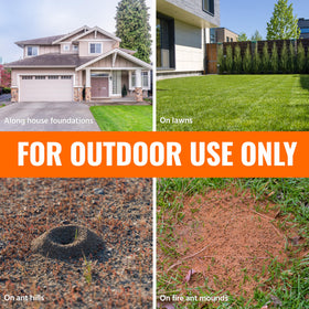 TERRO Ant Killer Plus fire ant mound treatment surrounds the mound.