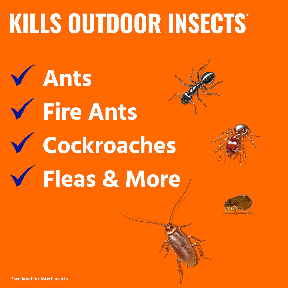 TERRO Ant Killer Plus granules on ground enable quick outdoor pest control.