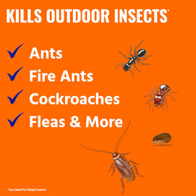 TERRO Ant Killer Plus granules on ground enable quick outdoor pest control.
