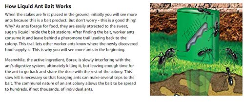 Woodstream Terro bait attracts worker ants for colony-wide reach.