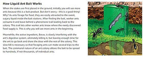 Woodstream Terro bait attracts worker ants for colony-wide reach.