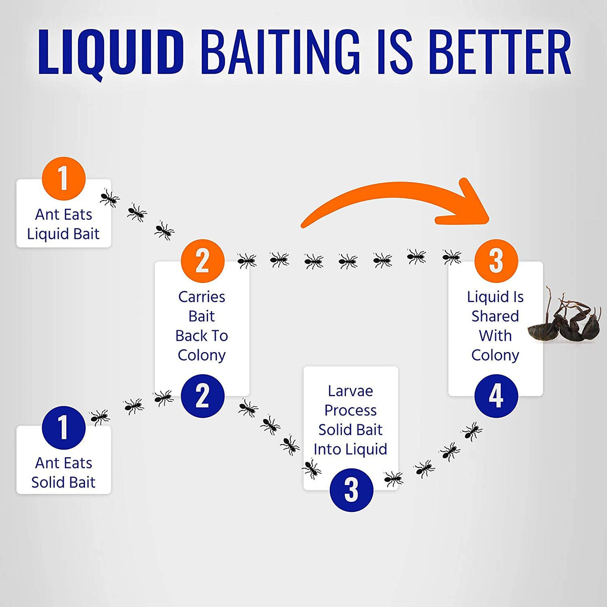 Woodstream Terro bait-liquid drop close-up demonstrates ready-to-use design.