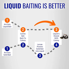 Woodstream Terro bait-liquid drop close-up demonstrates ready-to-use design.