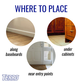 Terro cardboard tiles with ant bait prepared for placement