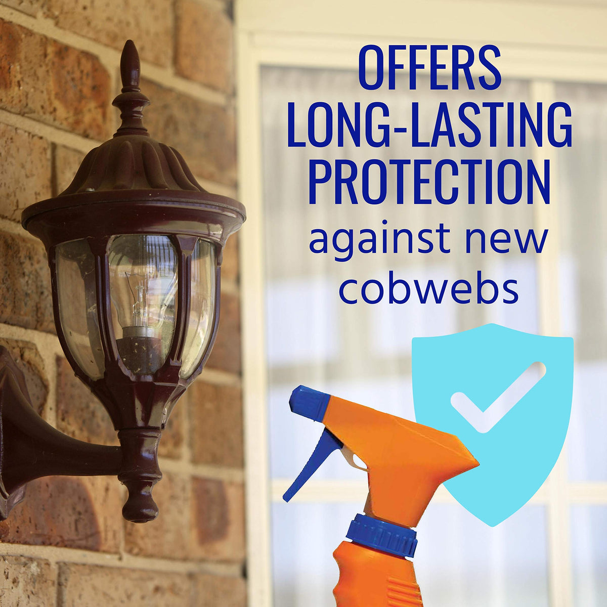 Terro Cobweb Eliminator after spray removing an existing web