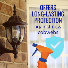 Terro Cobweb Eliminator after spray removing an existing web