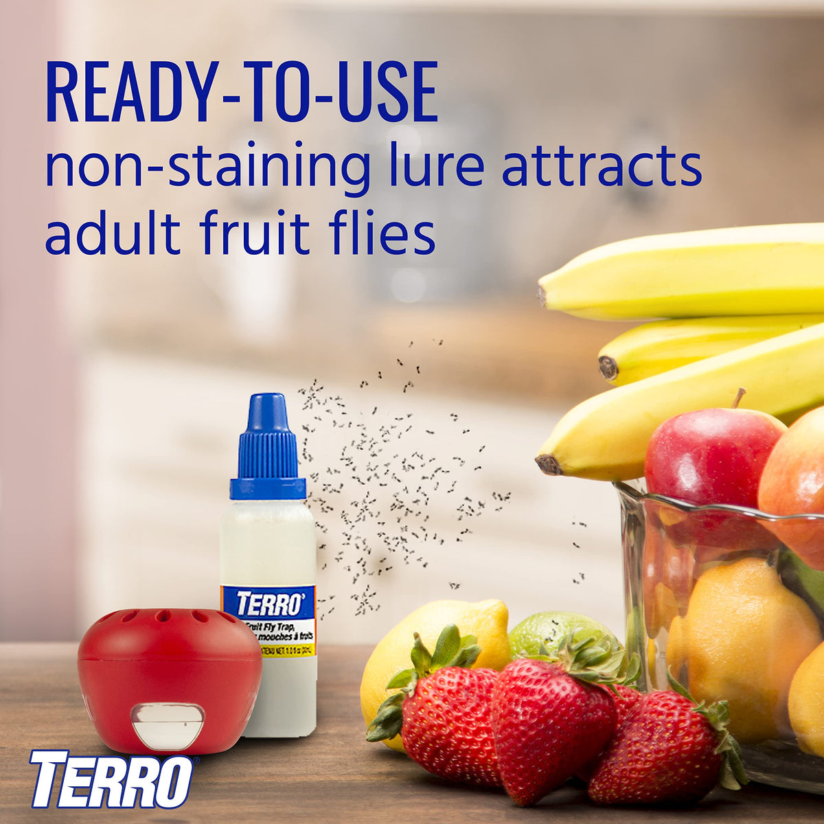 Terro trap positioned in a kitchen near fruit bowl for best results