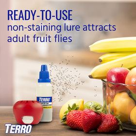 Terro trap positioned in a kitchen near fruit bowl for best results