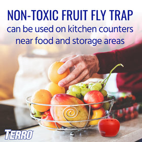 Visible reduction in fruit flies after using Terro traps