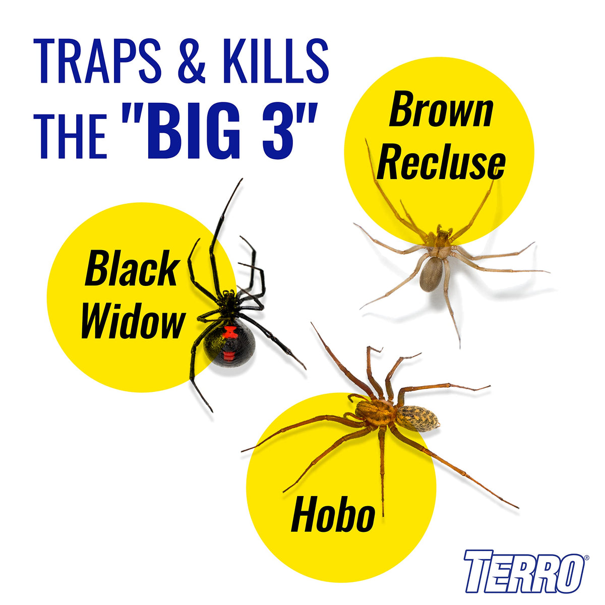 TERRO glue-trap closeup shows sticky surface for quick capture.