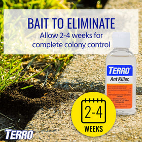 Terro indoor ant killer tile placement in a living room