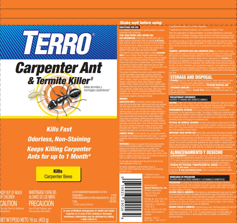 Professional inspection note: not a sole termite protection