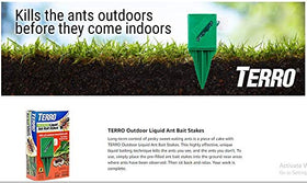 Woodstream Terro outdoor ant trail placement near entry points.