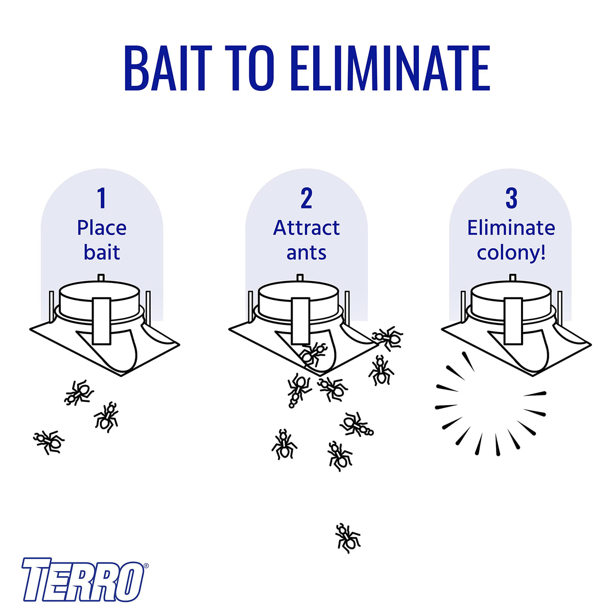 Outdoor yard with multiple Terro stations near ant trails