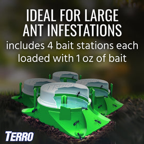 Terro stations placed in soil to attract ants in a yard setting.