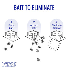 Terro bait stations secured in gravel to target outdoor ants.