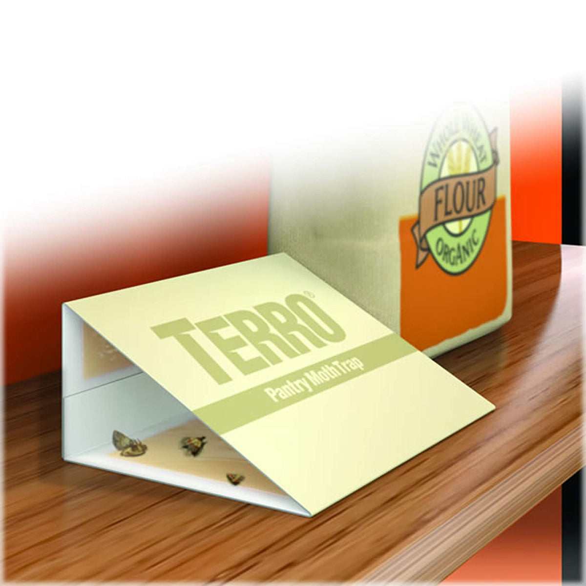 Terro pantry moth traps capturing moths to protect pantry