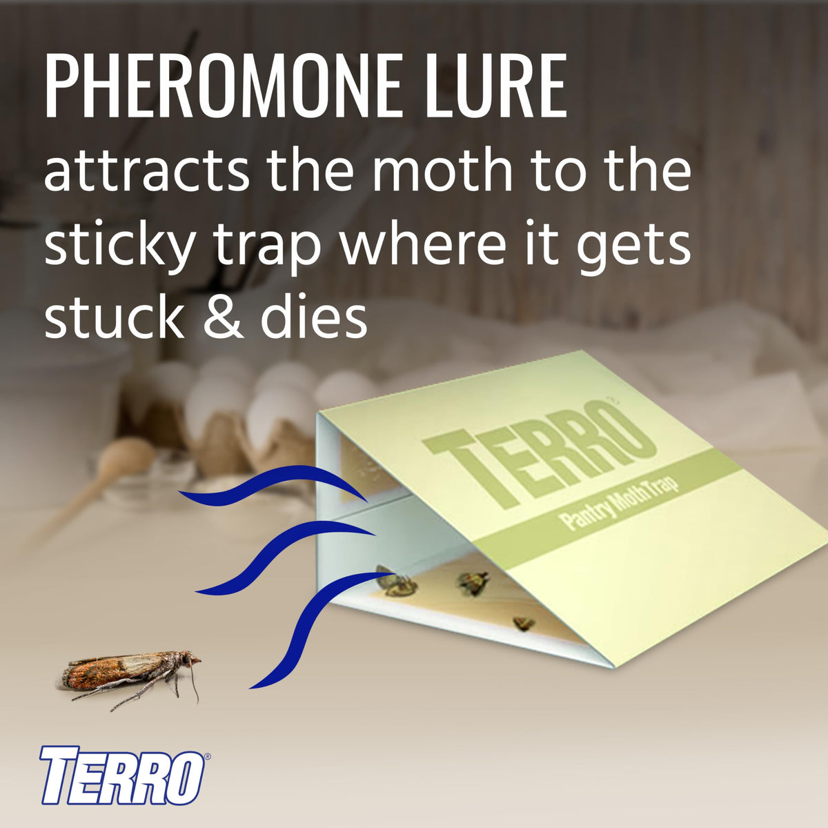 Terro pheromone lure close-up with sticky trap for grain moths