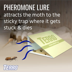 Terro pheromone lure close-up with sticky trap for grain moths