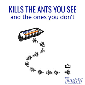 Terro protein paste bait targets roaches and silverfish in corners