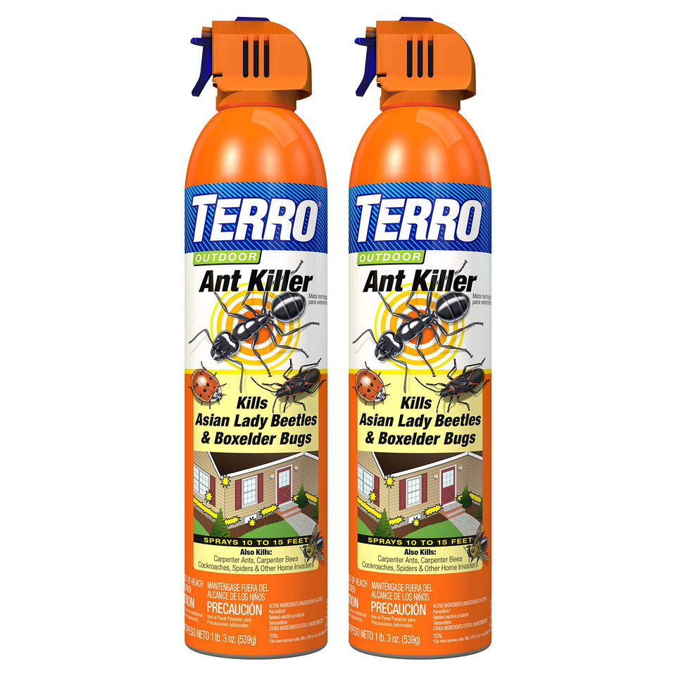 Terro T1700SR outdoor-ant-killer-spray-19oz for quick outdoor pest knockdown.