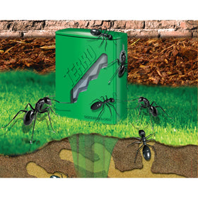 Terro T1812-2 tiered bait packs help maximize consumption and reduce waste.